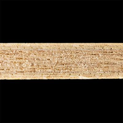 Andro Timber 5 ALL packshot